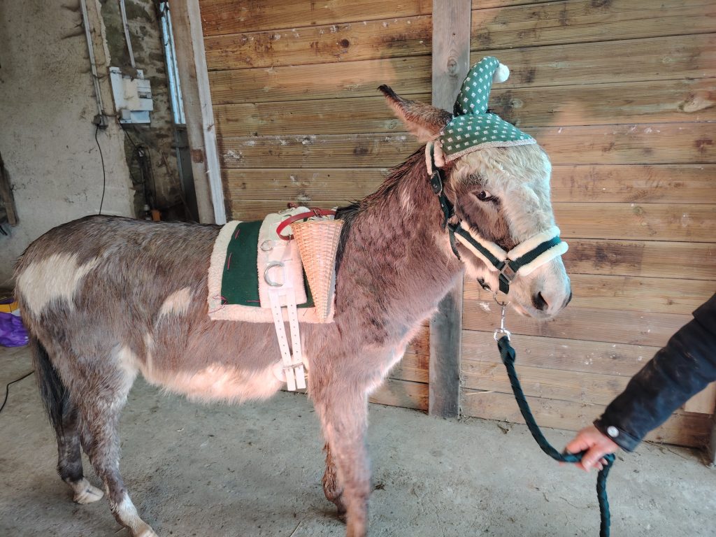 spectacles et déambulation de Noël avec poneys